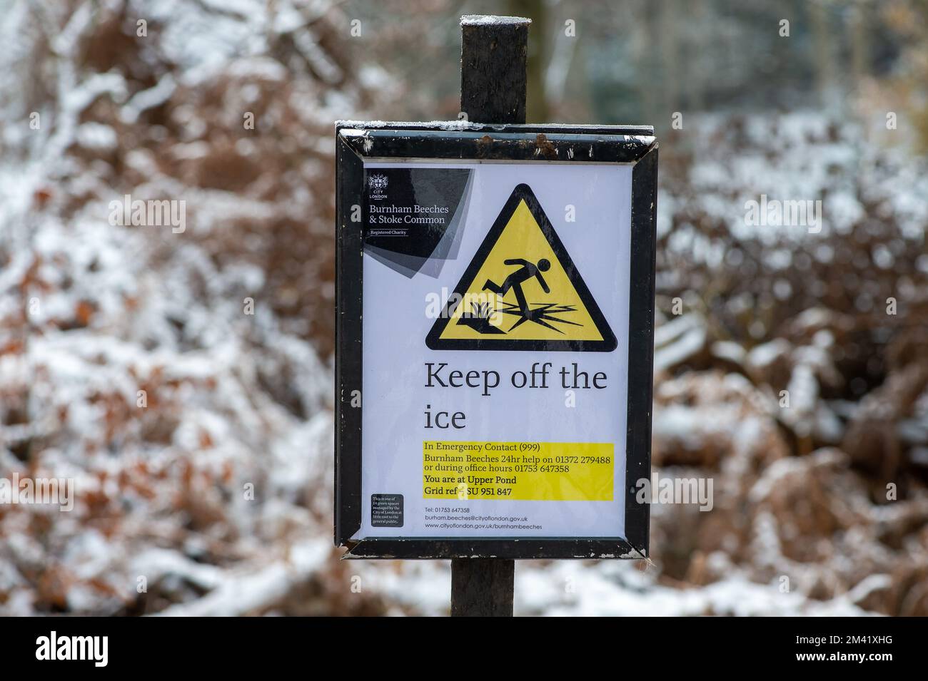 Farnham Common, Buckinghamshire, Royaume-Uni. 17th décembre 2022. Un panneau de maintien de la glace près d'un étang. Les forêts de Burnham Beeches, dans le Buckinghamshire, ont continué à ressembler à un paysage hivernal merveilleux aujourd'hui, alors que la neige restait sur les arbres et que les étangs étaient gelés. Burnham Beeches est un site d'intérêt scientifique spécial et un refuge pour la faune. Les températures devraient augmenter cette semaine et de fortes pluies sont prévues. Crédit : Maureen McLean/Alay Live News Banque D'Images