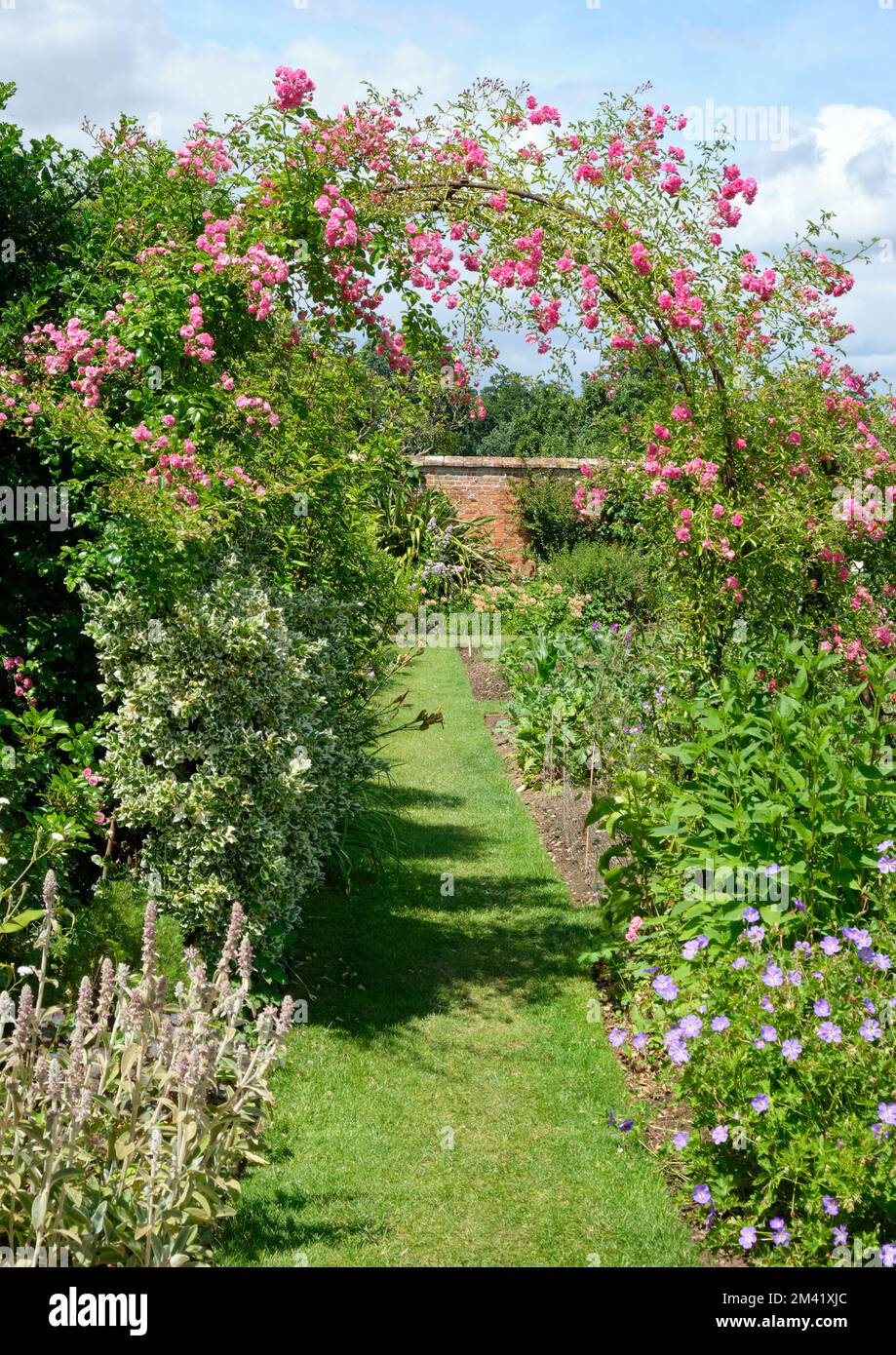 Magnifique Rose Arch dans les jardins de Helmingham Banque D'Images
