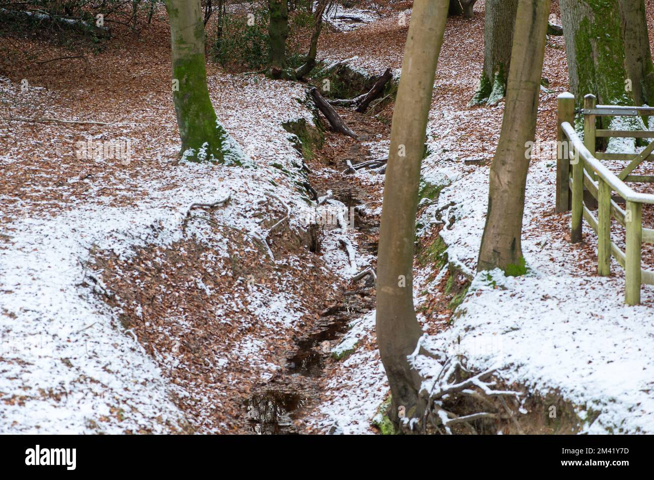 Farnham Common, Buckinghamshire, Royaume-Uni. 17th décembre 2022. Les sangsues de Burnham dans le Buckinghamshire continuent à ressembler à un film de rêve d'hiver aujourd'hui. La neige reste encore sur les arbres et les glaçons de givre scintillés dans la lumière après un autre gel lourd de nuit. Burnham Beeches est un site d'intérêt scientifique spécial et un refuge pour la faune. Les températures devraient augmenter cette semaine et de fortes pluies sont prévues. Crédit : Maureen McLean/Alay Live News Banque D'Images