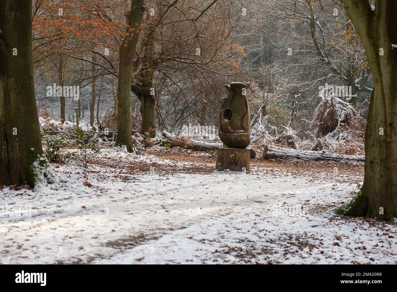 Farnham Common, Buckinghamshire, Royaume-Uni. 17th décembre 2022. Neige sur des sculptures en bois dans Burnham Beeches dans Buckinghamshire qui continuent à ressembler à un film de l'hiver merveilleux aujourd'hui. La neige reste encore sur les arbres et les glaçons de givre scintillés dans la lumière après un autre gel lourd de nuit. Burnham Beeches est un site d'intérêt scientifique spécial et un refuge pour la faune. Les températures devraient augmenter cette semaine et de fortes pluies sont prévues. Crédit : Maureen McLean/Alay Live News Banque D'Images