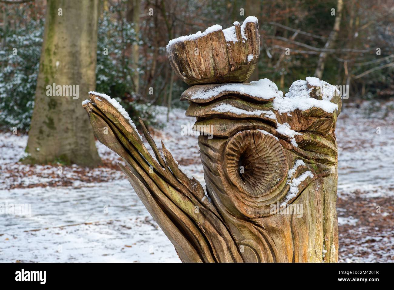 Farnham Common, Buckinghamshire, Royaume-Uni. 17th décembre 2022. Neige sur des sculptures en bois dans Burnham Beeches dans Buckinghamshire qui continuent à ressembler à un film de l'hiver merveilleux aujourd'hui. La neige reste encore sur les arbres et les glaçons de givre scintillés dans la lumière après un autre gel lourd de nuit. Burnham Beeches est un site d'intérêt scientifique spécial et un refuge pour la faune. Les températures devraient augmenter cette semaine et de fortes pluies sont prévues. Crédit : Maureen McLean/Alay Live News Banque D'Images