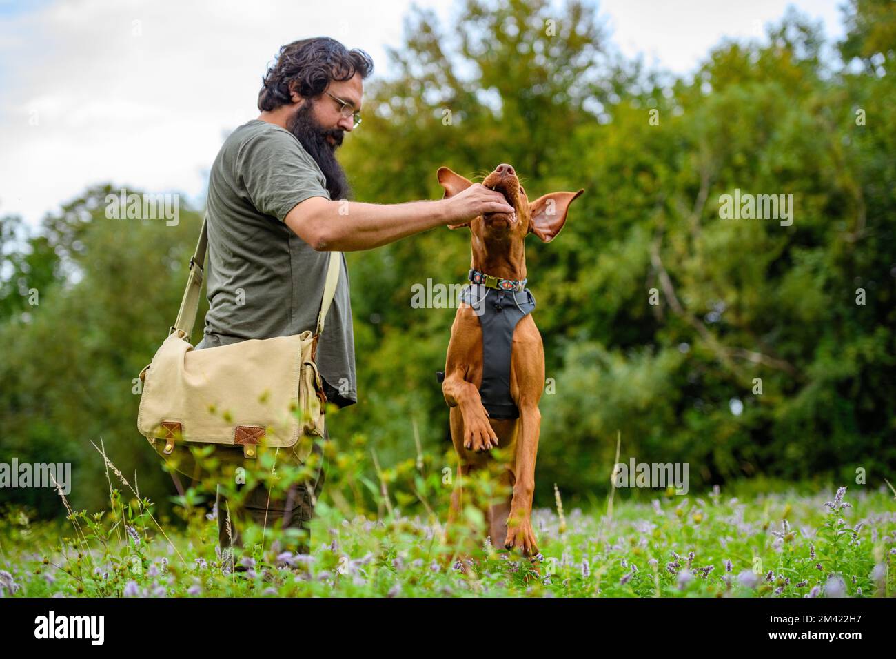 Magnifique chiot hongrois Vizsla et son propriétaire pendant l'entraînement d'obéissance en plein air. Renforcement positif et récompense. Banque D'Images