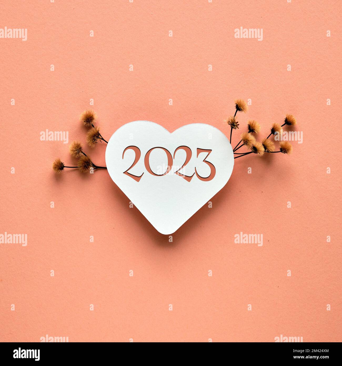 2023 Bonne Année. Coeur de papier avec numéro 2023. Pampas sec herbe, fleurs,  décorations florales sur papier orange. Composition carrée minimaliste  Photo Stock - Alamy