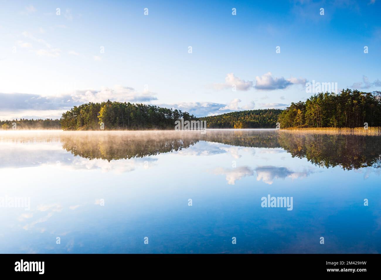 Reflet du lac et de la forêt dans la lumière du matin Banque D'Images