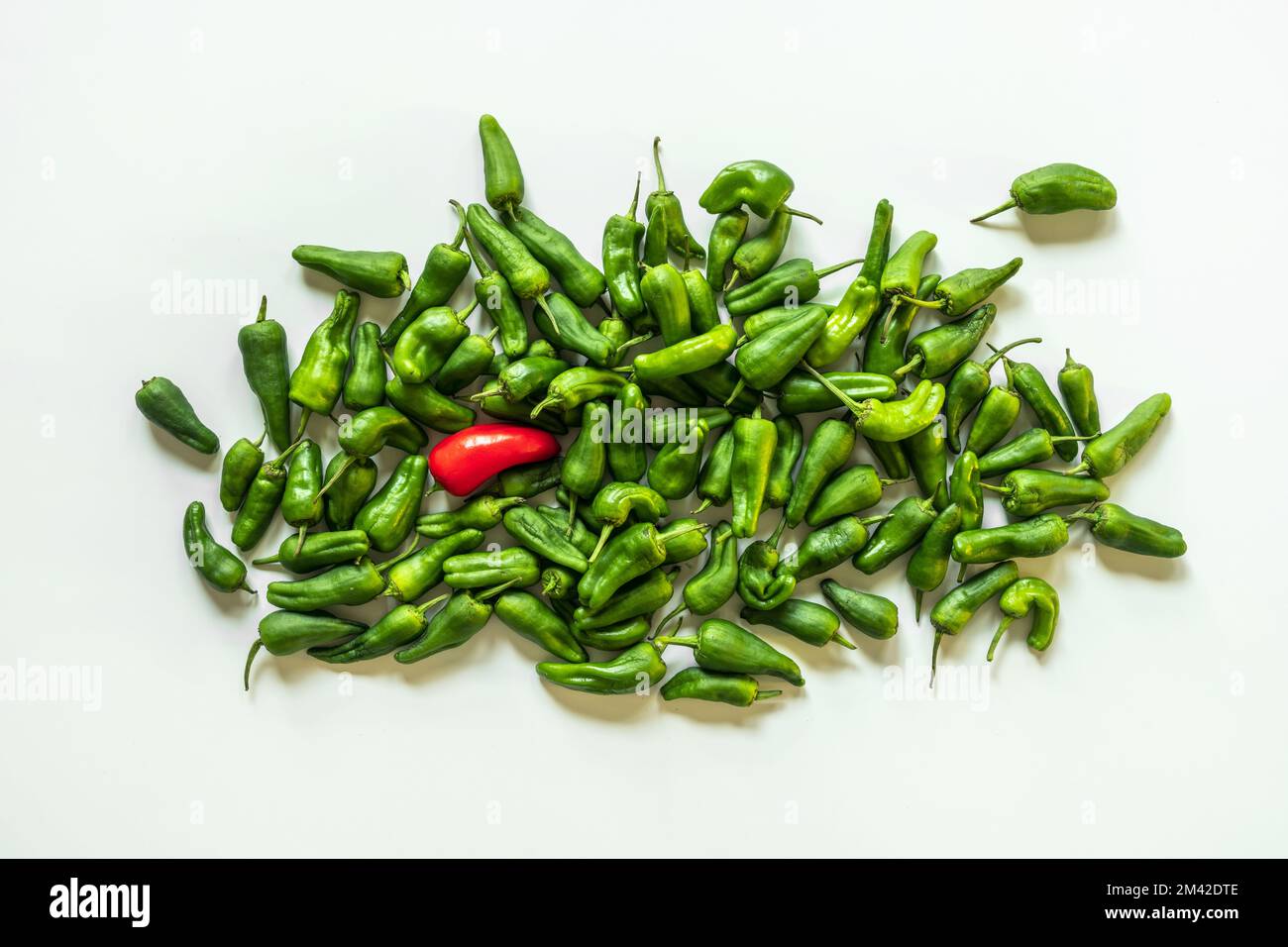 Un bouquet de poivrons verts padrón et un rouge solitaire sur une surface blanche lisse Banque D'Images