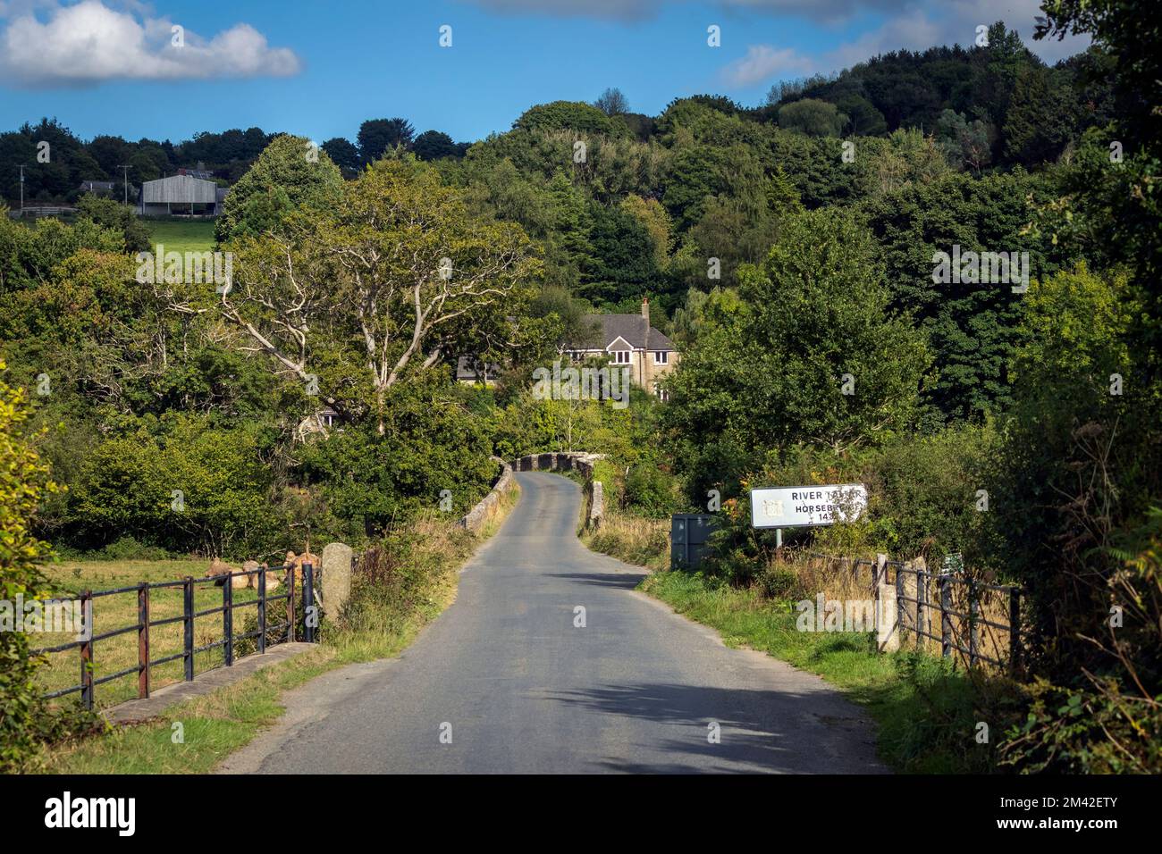 Pont à cheval. En quittant Cornwall (sur le point d'entrer dans Devon), ne regardez pas en arrière. La frontière Cornouailles/Devon définie (dans cette région) par la rivière Tamar. Banque D'Images