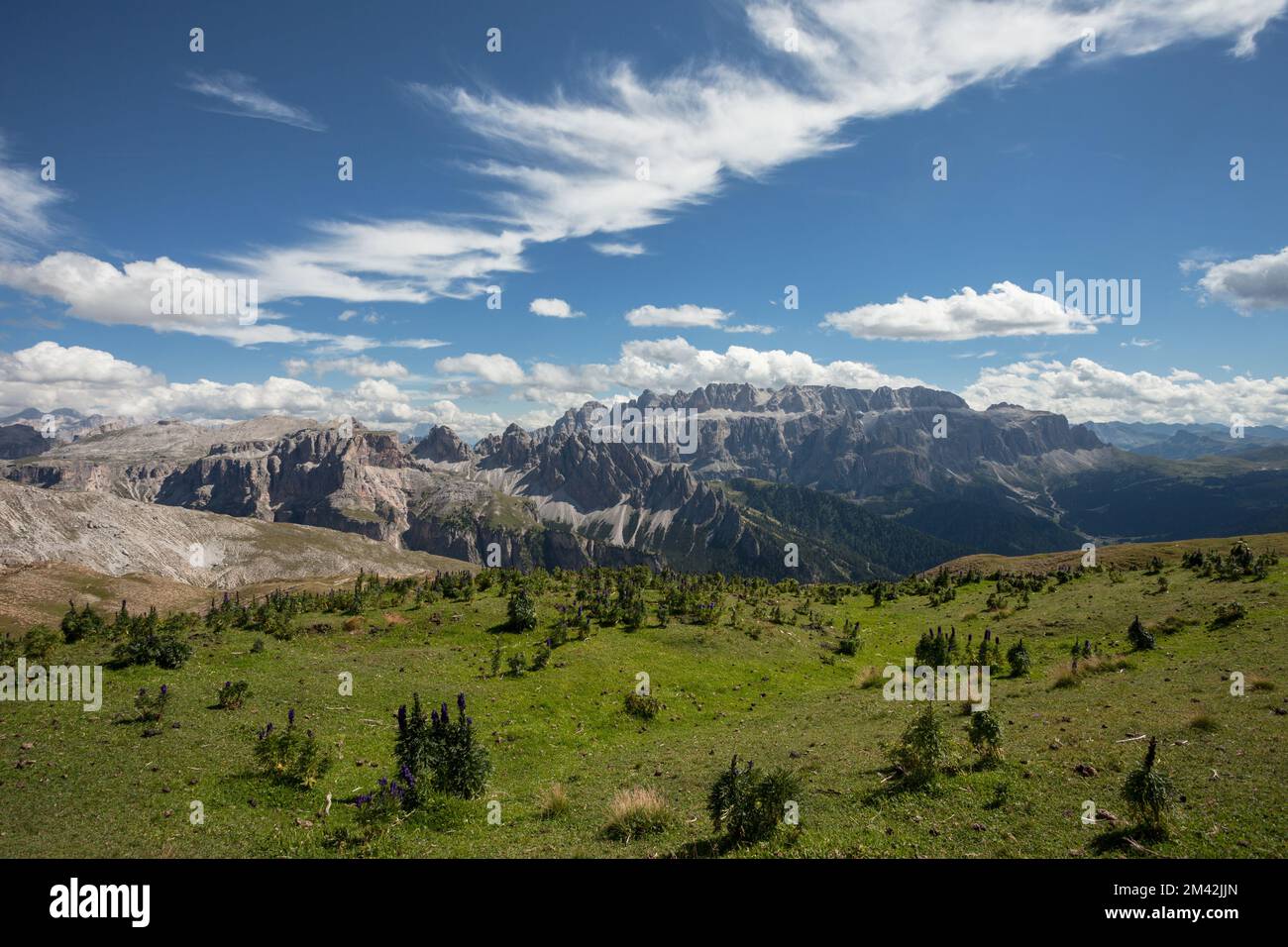 Vue panoramique sur une vallée alpine au milieu des Dolomites de Val Gardena (groupe Sella en arrière-plan) Banque D'Images