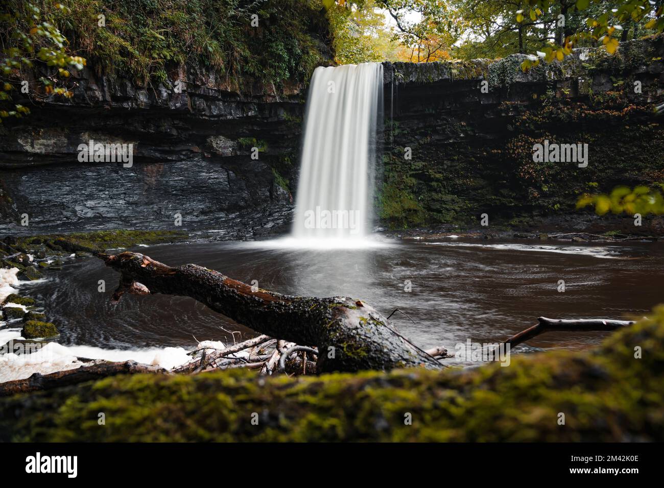 Sgwd Gwladys Waterfall ou Lady Falls dans le parc national de Brecon Beacons, la vallée de Neath. Pays de Galles du Sud, Royaume-Uni. Promenade de quatre chutes d'eau. Exposition longue. Banque D'Images