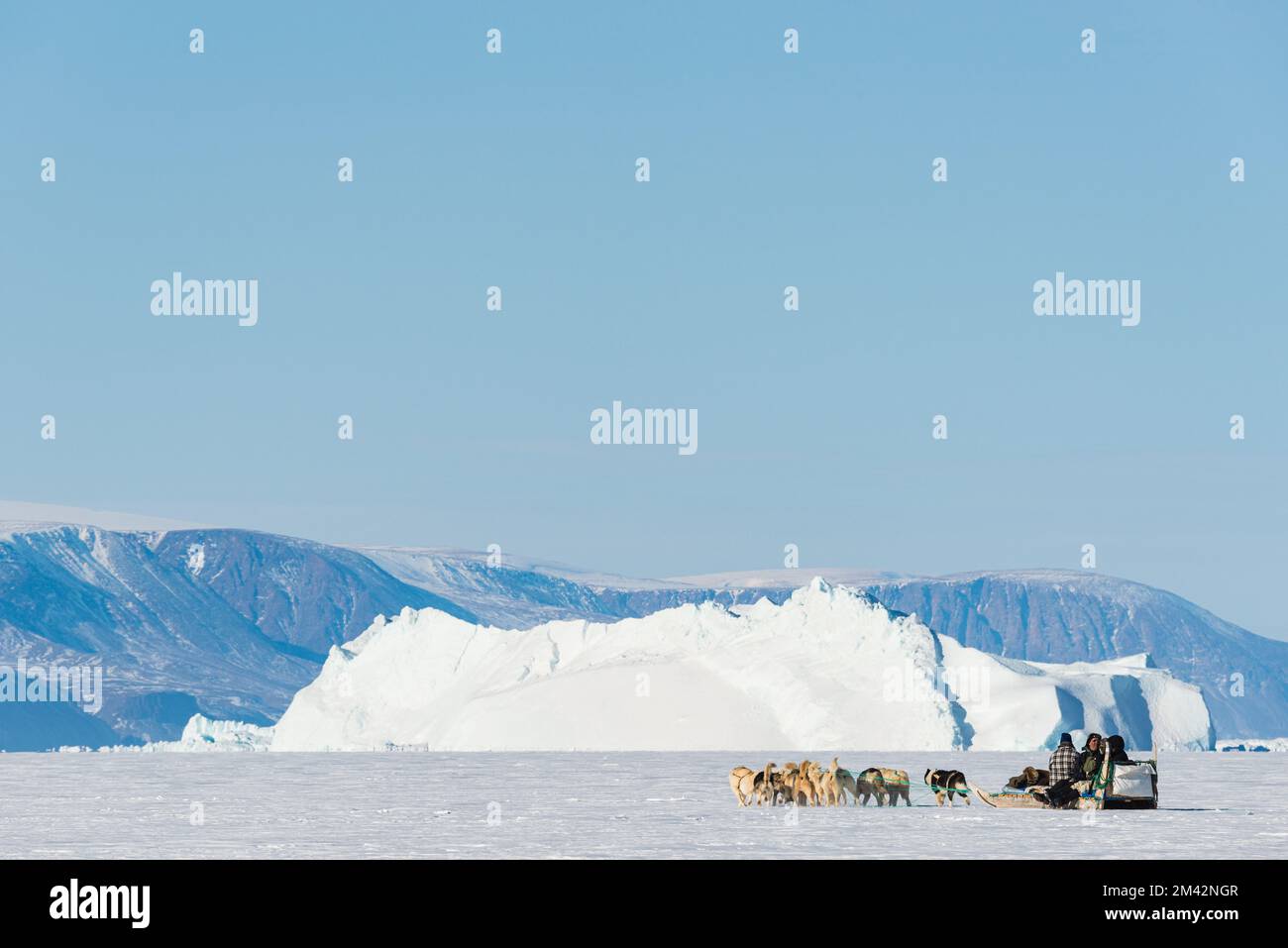 Voyage en traîneau à chiens devant les icebergs Banque D'Images