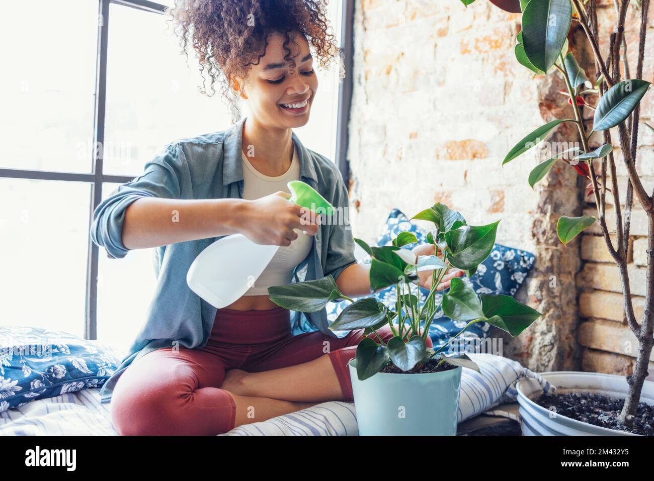 Bonne plante dame. Jeune Afro-américaine femme plante amante prenant soin de la maison. Une fille arroser une plante en pot avec un sourire heureux Banque D'Images