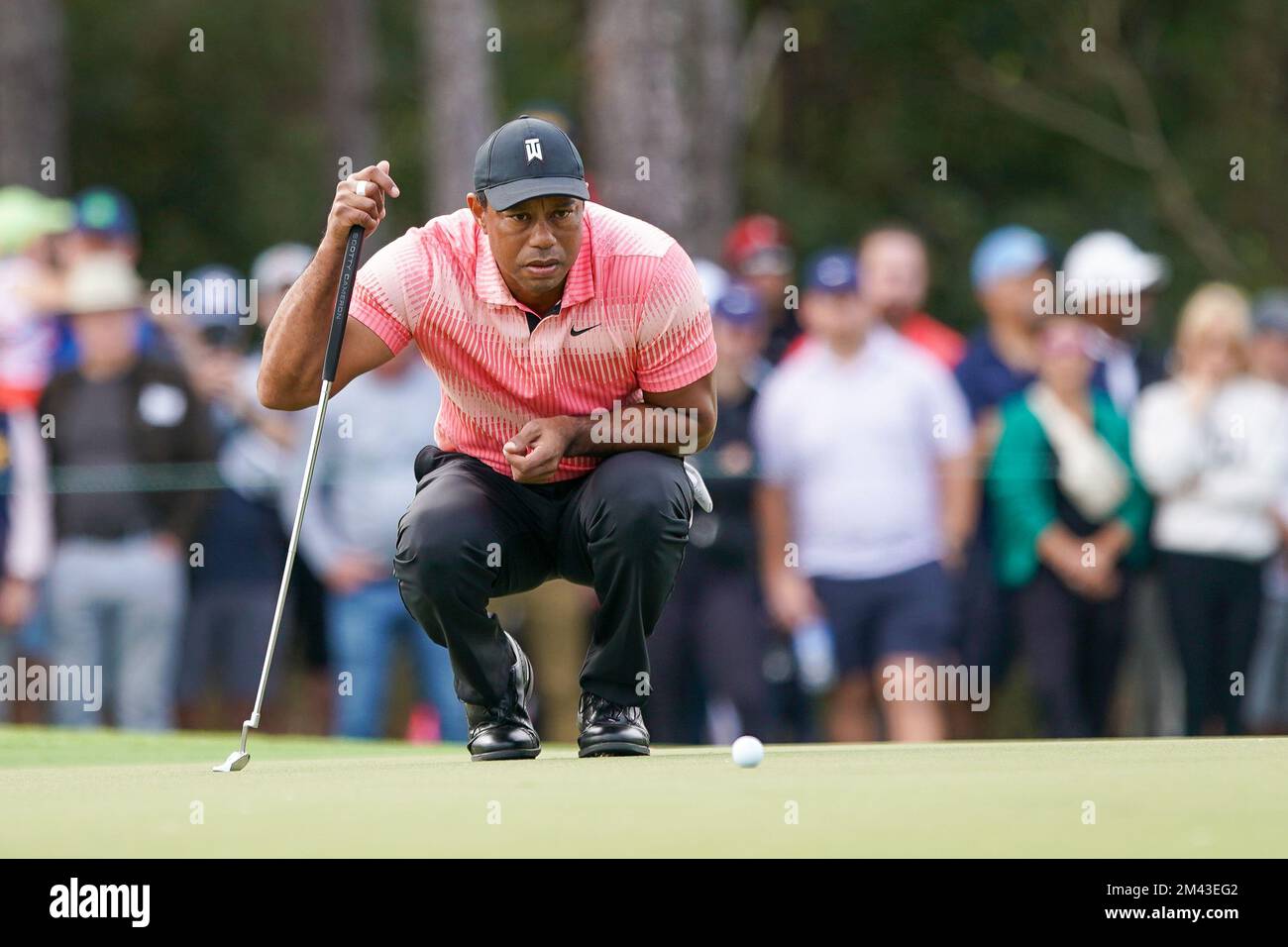 Orlancdo, Floride, États-Unis. 17th décembre 2022. Tiger Woods fait la queue sur le troisième green lors de la première partie du championnat PNC au Ritz-Carlton Golf Club. (Image de crédit : © Debby Wong/ZUMA Press Wire) Banque D'Images