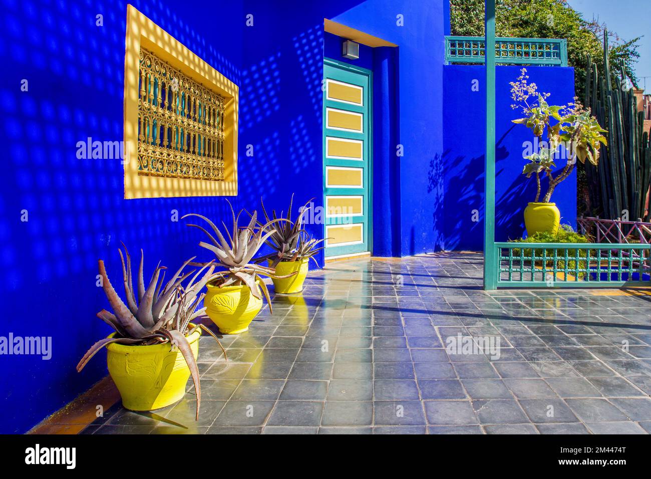 Incroyable mur bleu vif et plantes en pots jaune vif pots dans le jardin Majorelle dans la célèbre Marrakech. L'un des propriétaires de manoir dans le passé était Banque D'Images