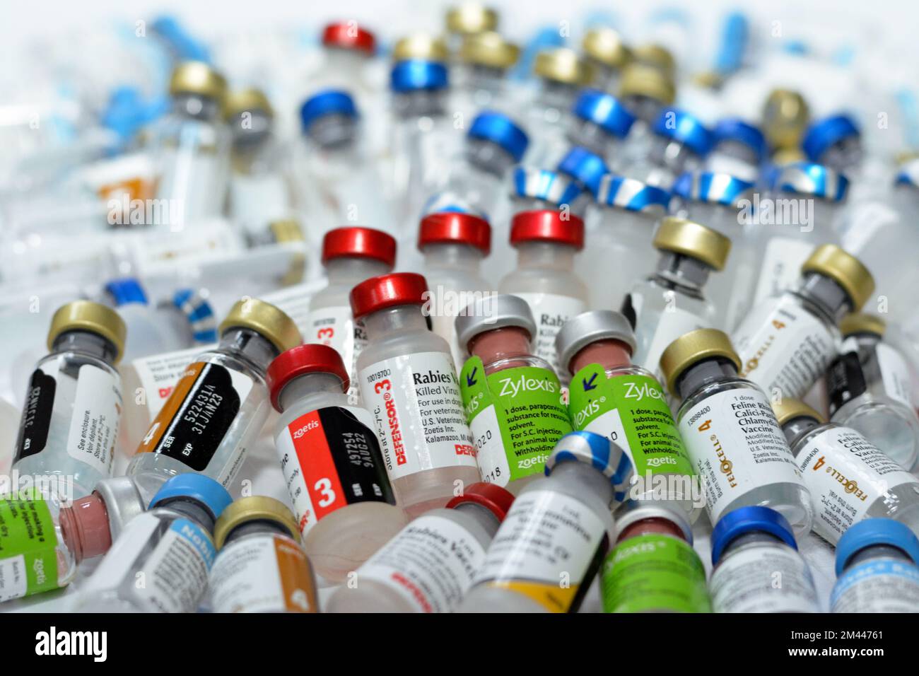 Le Caire, l'Egypte, le 8 décembre 2022: Contexte de divers et différents types de vaccins animaux pour chats, chiens et autres animaux contre divers virus a Banque D'Images