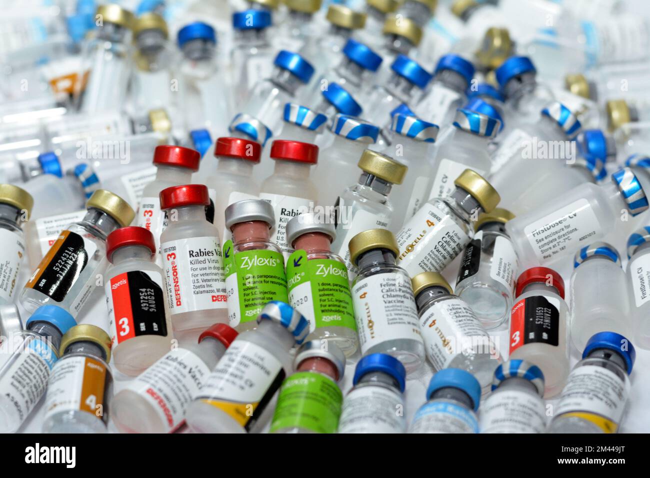 Le Caire, l'Egypte, le 8 décembre 2022: Contexte de divers et différents types de vaccins animaux pour chats, chiens et autres animaux contre divers virus a Banque D'Images