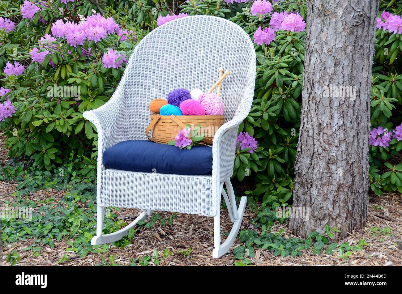 Fil coloré dans un panier sur un fauteuil à bascule en osier blanc dans un jardin de rhododendron Banque D'Images