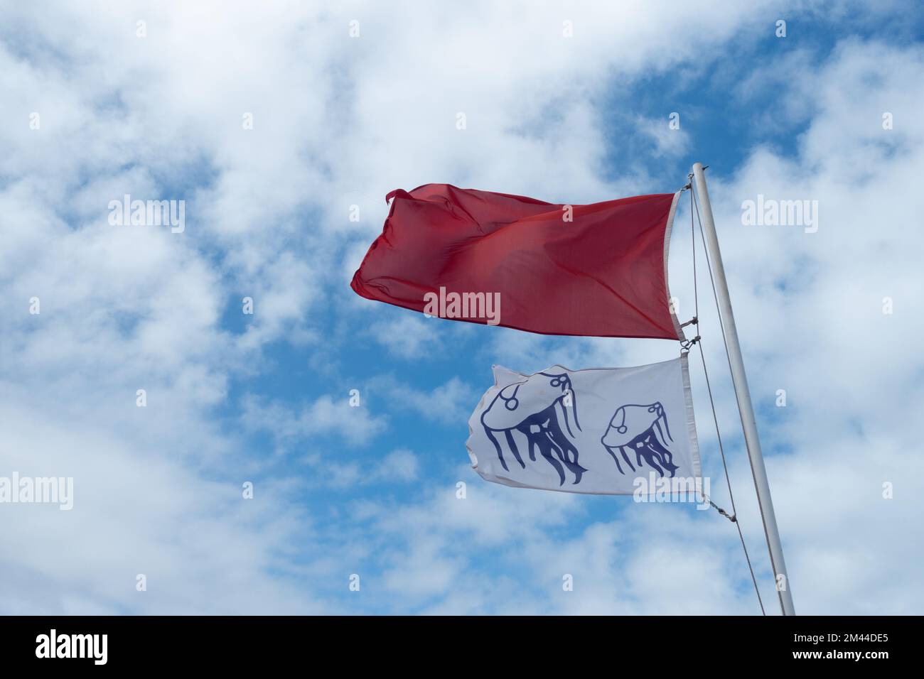 Drapeau rouge et drapeau d'avertissement de méduses sur la plage. Banque D'Images