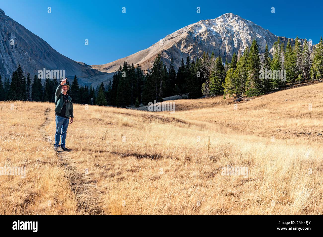 Homme sur un sentier de randonnée dans la nature spots quelque chose Banque D'Images