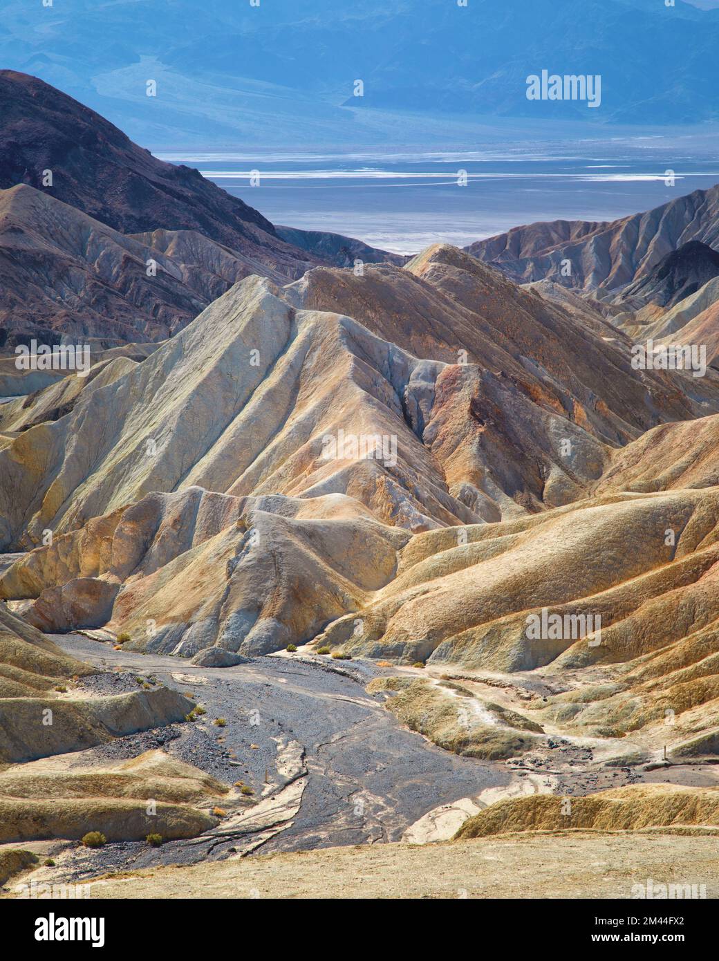 Les formations osseuses sèches autour de Zabriskie point, dans la vallée de la mort, en Californie. Banque D'Images