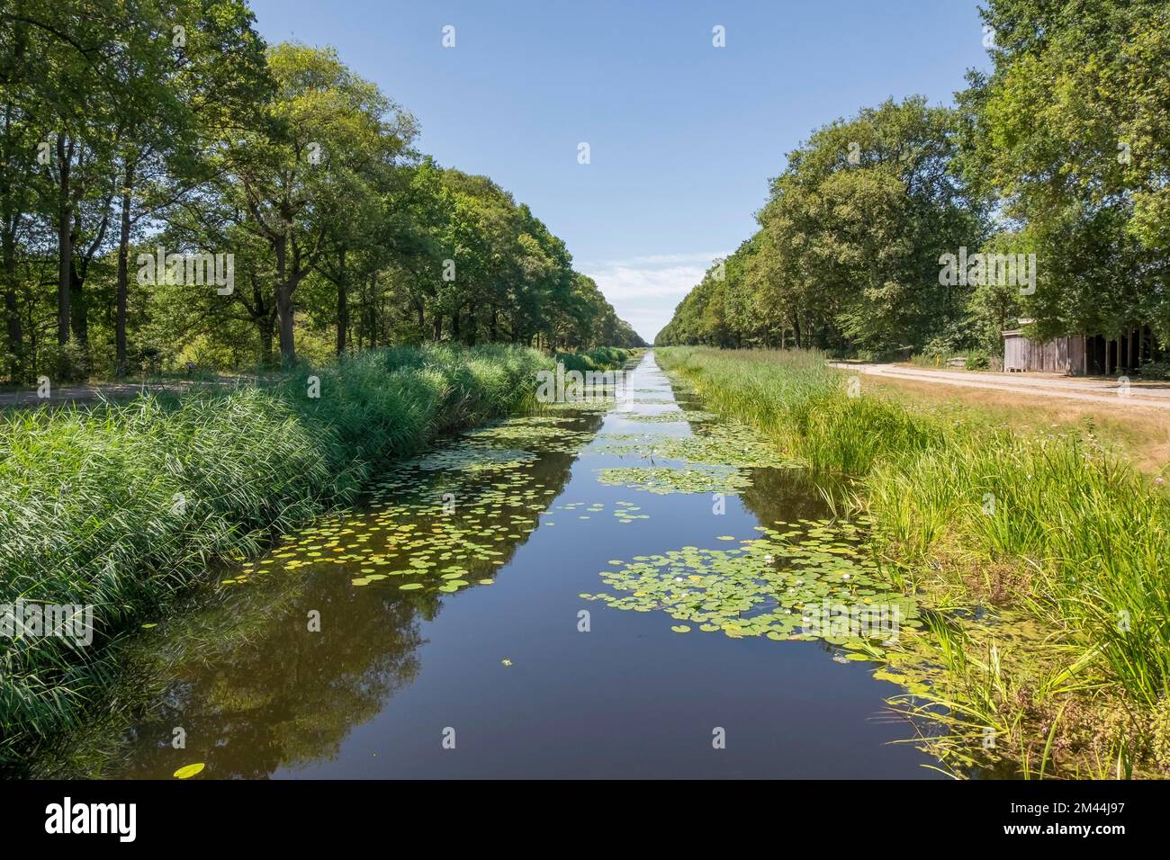 Canal Nordhorn-Almelo (abréviation: NAK), construit entre 1870 et 1904, navigable dans une mesure limitée pour les petits bateaux du côté allemand, le NAK est Banque D'Images