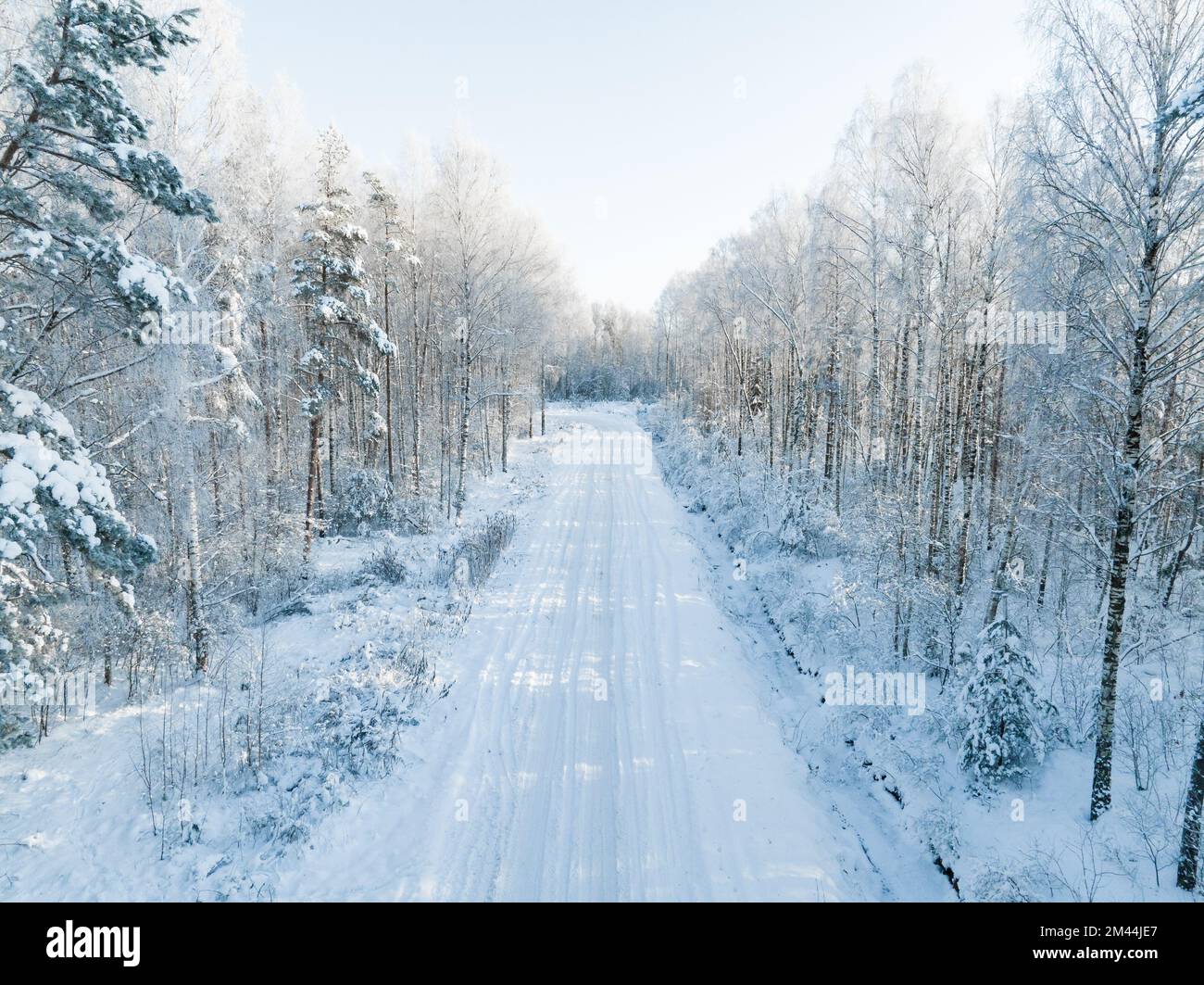 Forêt dans la neige. Route forestière enneigée. Route forestière d'en haut Banque D'Images