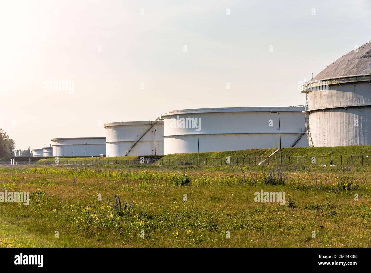 grands réservoirs de pétrole brut dans un terminal pétrolier au coucher du soleil Banque D'Images