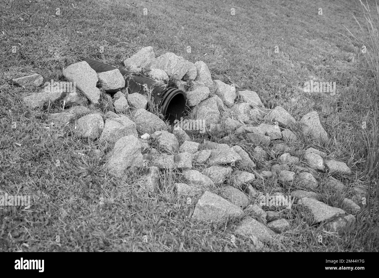 sortie d'eau pluviale en plastique avec protection anti-arrachement dépassant d'un remblai d'herbe Banque D'Images