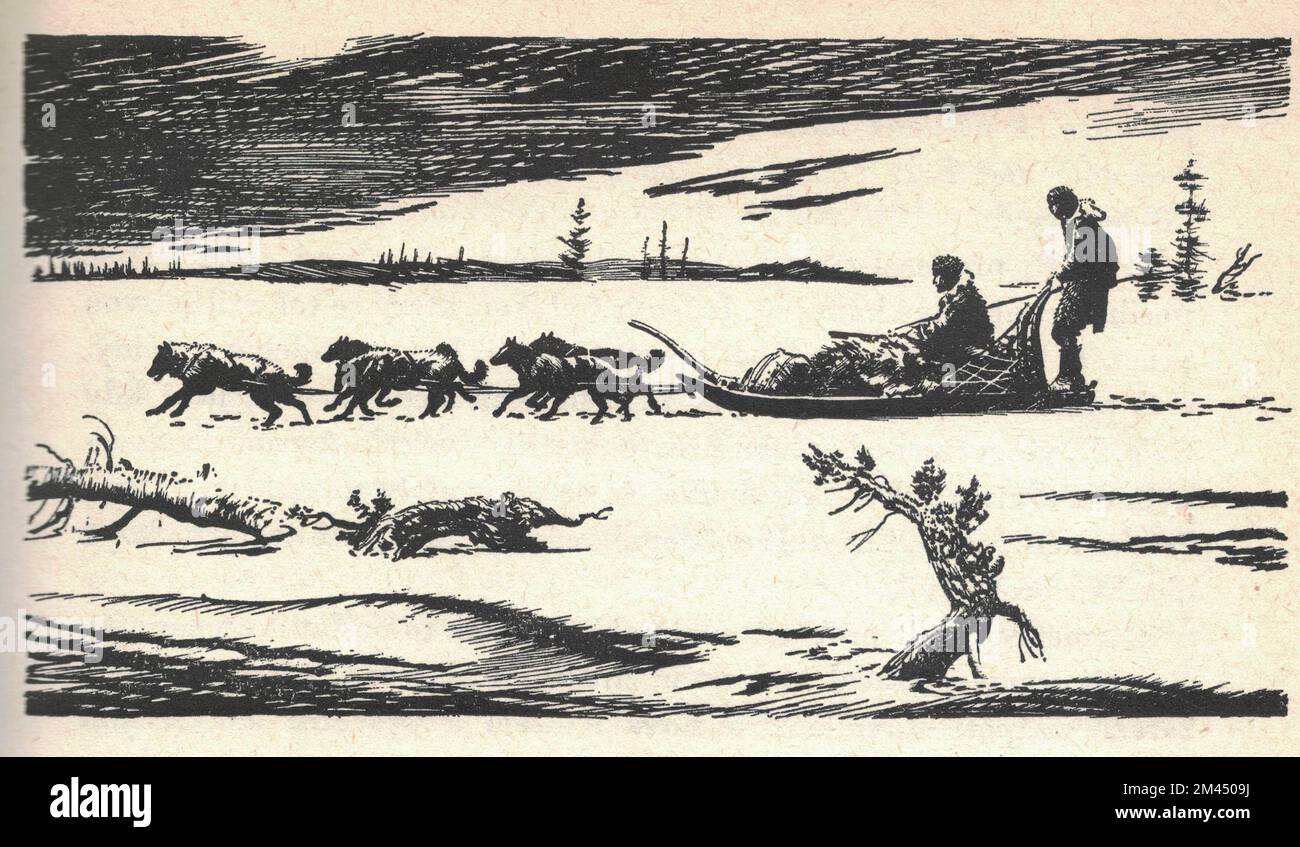Un traîneau tire un traîneau avec des chasseurs. Ancienne illustration en noir et blanc. Dessin vintage. Illustration par Zdenek Burian. Zdenek Michael Frantisek Burian (11 février 1905 à Koprivnice, Moravie, Autriche-Hongrie 1 juillet 1981 à Prague, Tchécoslovaquie) est un peintre, illustrateur de livres et paléoartiste tchèque dont les travaux ont joué un rôle central dans le développement de la reconstruction paléontologique. À l'origine reconnue uniquement en Tchécoslovaquie natale, la renommée de Burian s'est par la suite étendue à un public international au cours d'une carrière remarquable s'étendant sur six décennies (1930s à 1980s). Il est considéré par beaucoup comme o Banque D'Images