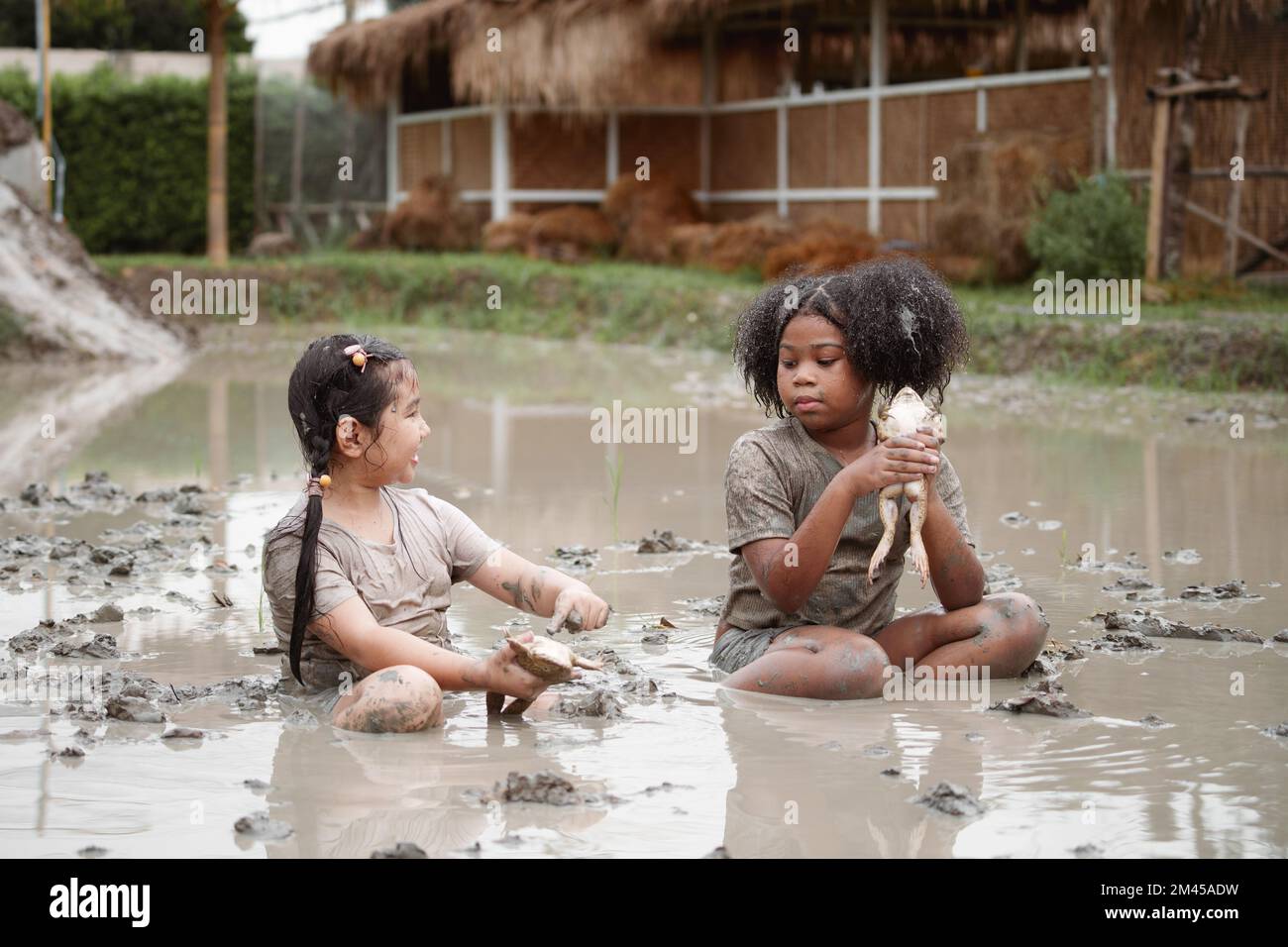 Deux enfants heureux enfant fille attrapant une grosse grenouille dans la grande boue humide flaque le jour d'été. Banque D'Images