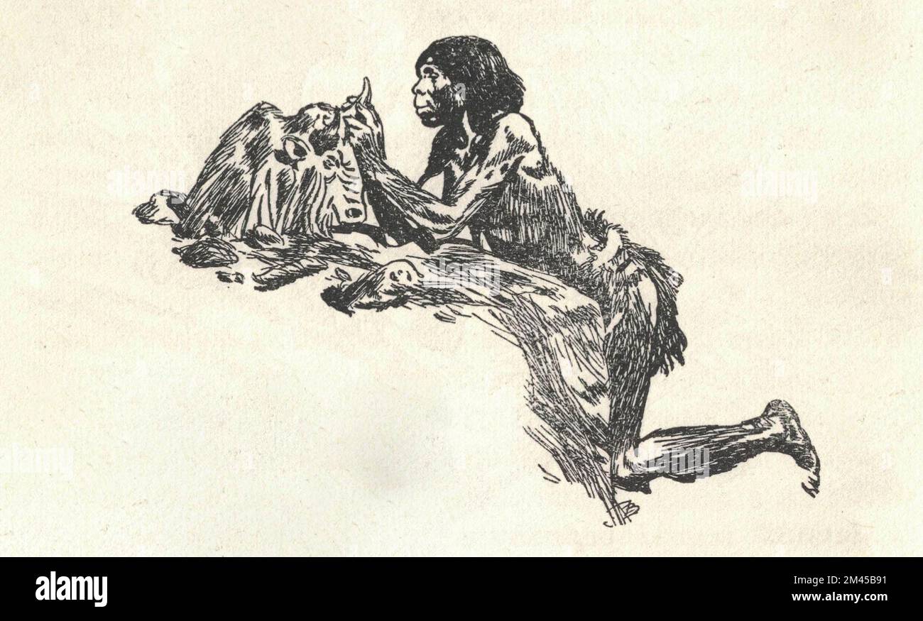 Un homme préhistorique fait la figure d'un bison. Ancienne illustration en noir et blanc. Dessin vintage. Illustration par Zdenek Burian. Zdenek Michael Frantisek Burian (11 février 1905 à Koprivnice, Moravie, Autriche-Hongrie 1 juillet 1981 à Prague, Tchécoslovaquie) est un peintre, illustrateur de livres et paléoartiste tchèque dont les travaux ont joué un rôle central dans le développement de la reconstruction paléontologique. À l'origine reconnue uniquement en Tchécoslovaquie natale, la renommée de Burian s'est par la suite étendue à un public international au cours d'une carrière remarquable s'étendant sur six décennies (1930s à 1980s). Il est considéré par beaucoup Banque D'Images