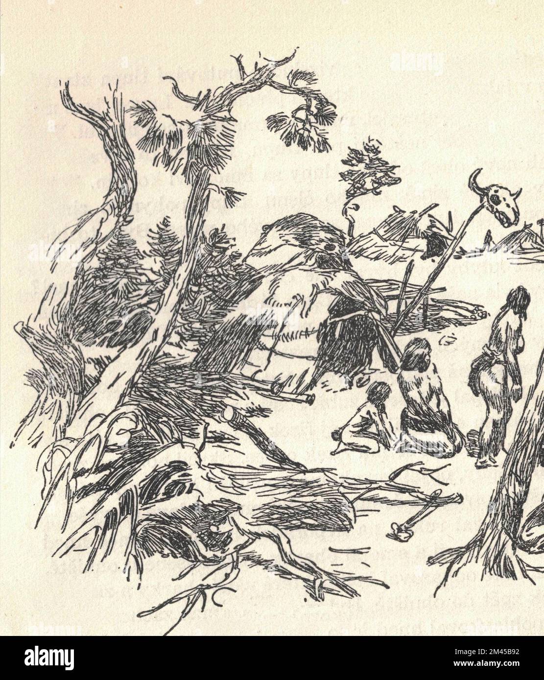 Une colonie préhistorique et ses habitants. Ancienne illustration en noir et blanc. Dessin vintage. Illustration par Zdenek Burian. Zdenek Michael Frantisek Burian (11 février 1905 à Koprivnice, Moravie, Autriche-Hongrie 1 juillet 1981 à Prague, Tchécoslovaquie) est un peintre, illustrateur de livres et paléoartiste tchèque dont les travaux ont joué un rôle central dans le développement de la reconstruction paléontologique. À l'origine reconnue uniquement en Tchécoslovaquie natale, la renommée de Burian s'est par la suite étendue à un public international au cours d'une carrière remarquable s'étendant sur six décennies (1930s à 1980s). Il est considéré par l'homme Banque D'Images