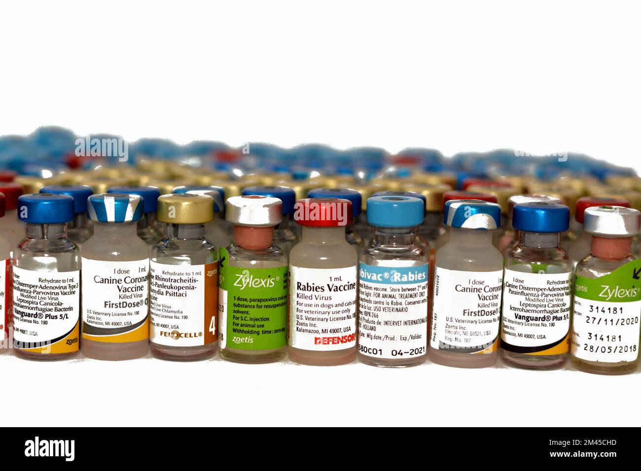 Le Caire, l'Egypte, le 17 décembre 2022 : contexte de différents types de vaccins animaux pour chats, chiens et autres animaux contre divers virus Banque D'Images