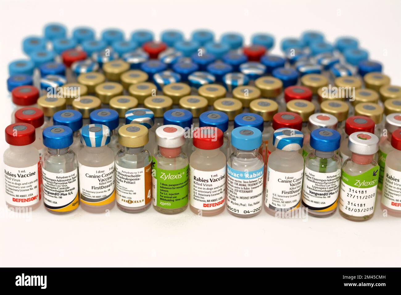 Le Caire, l'Egypte, le 17 décembre 2022 : contexte de différents types de vaccins animaux pour chats, chiens et autres animaux contre divers virus Banque D'Images