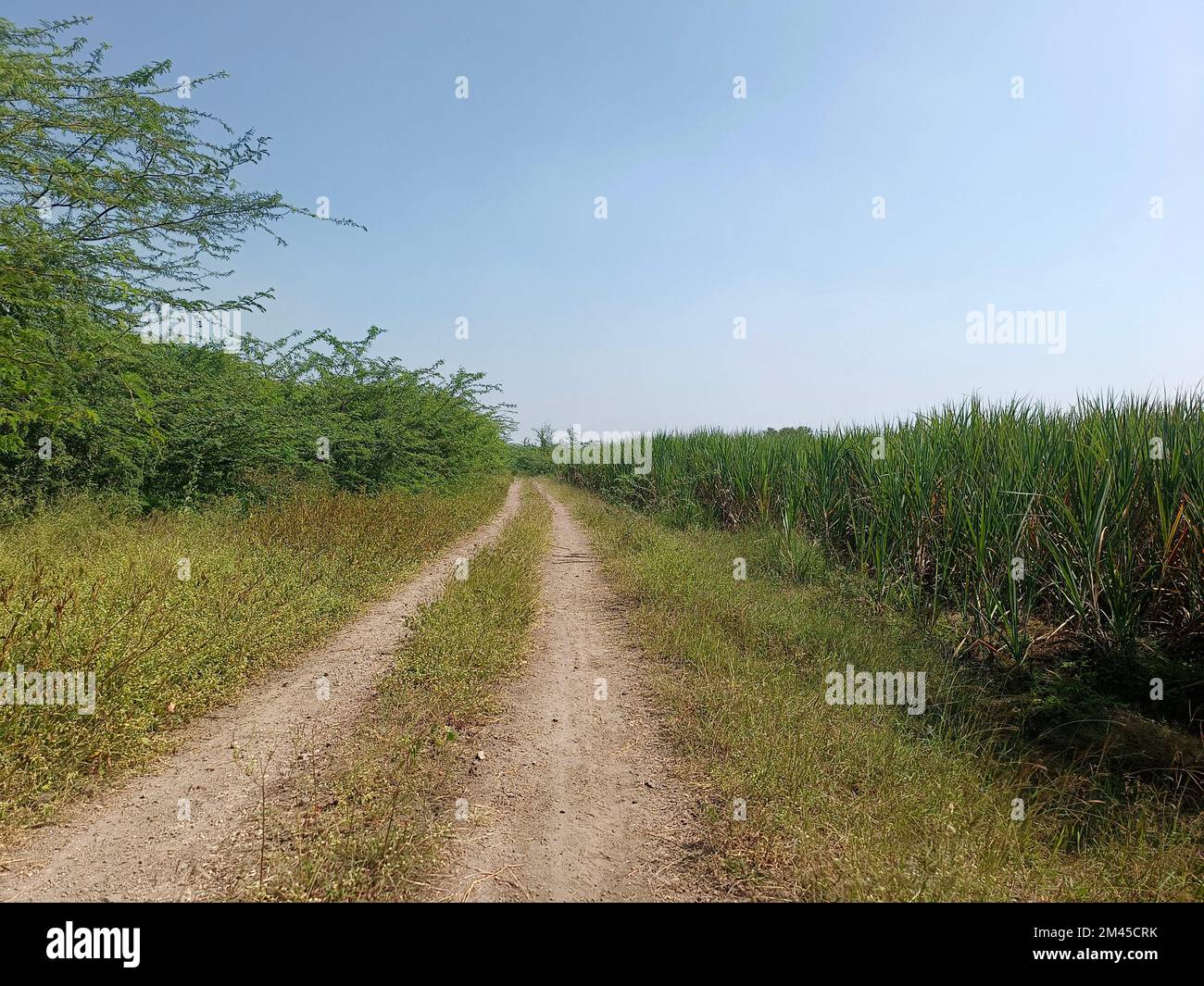 Vue sur Indian Village Road - Mud Road reliée à la campagne, terres agricoles des deux côtés. Banque D'Images