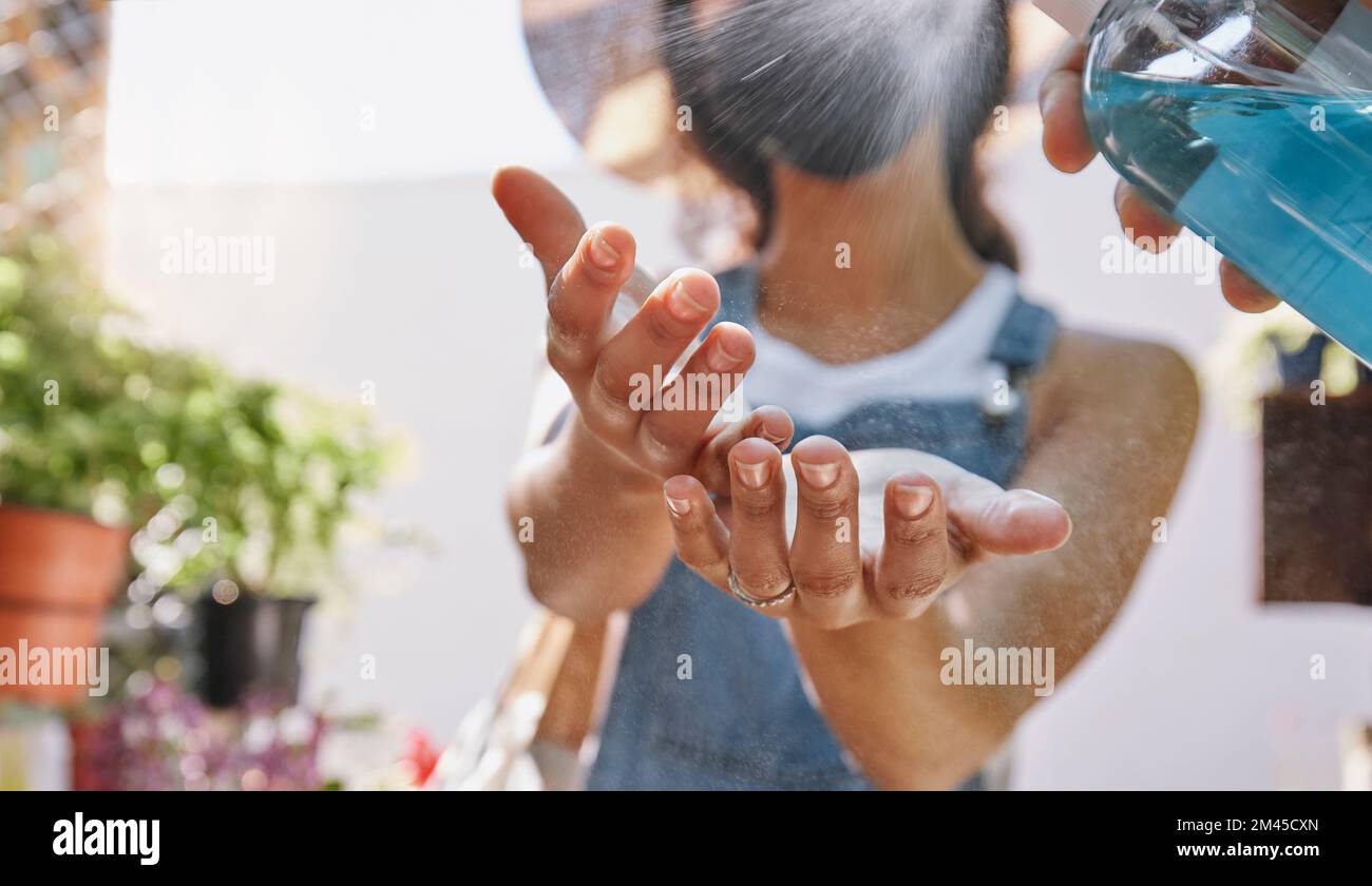 Covid, mains et assainisseur avec une femme nettoyant à l'aide d'un spray désinfectant dans une serre de petite entreprise. Conformité, pulvérisation ou bactéries avec un Banque D'Images