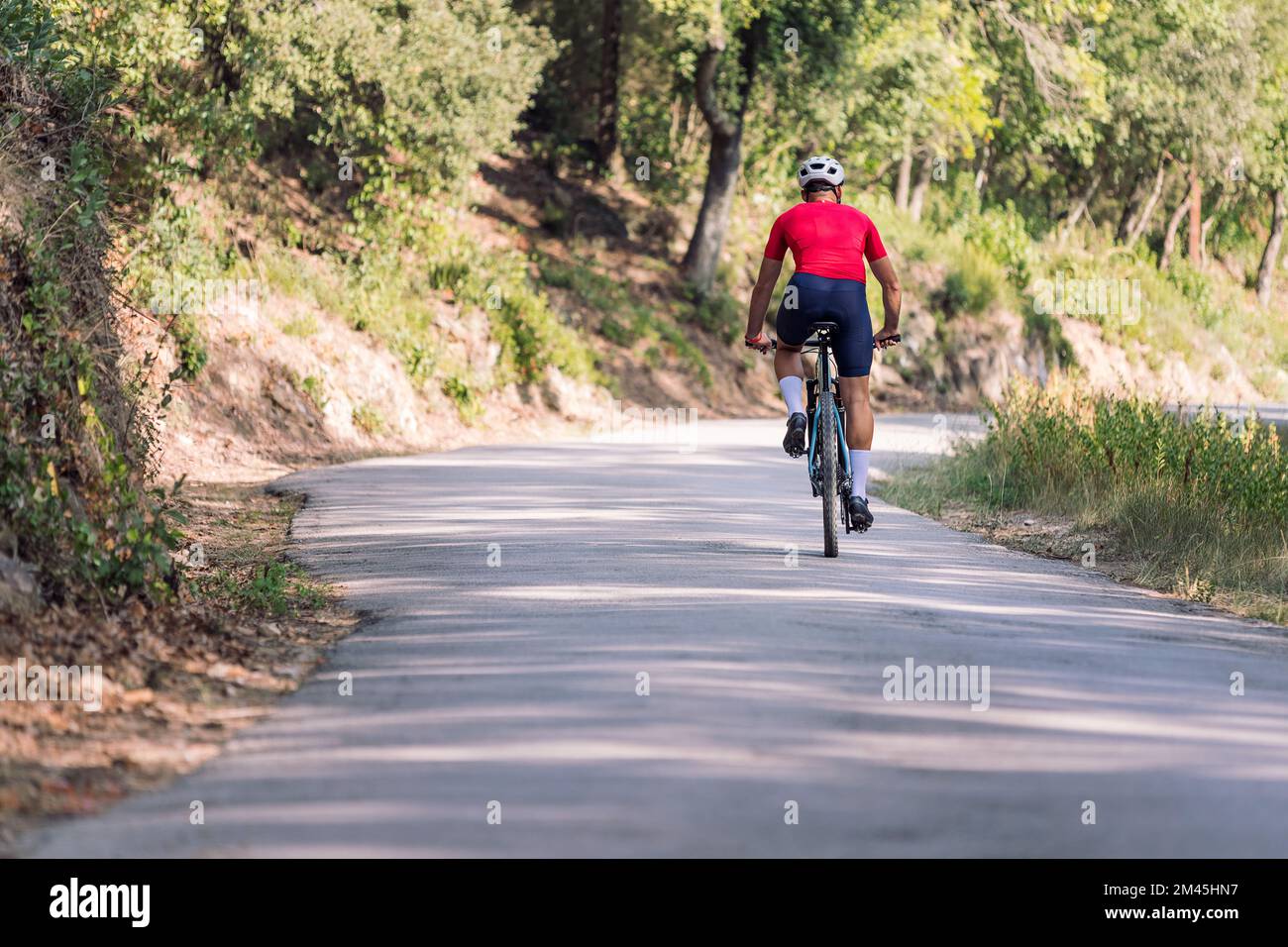 cycliste sur une route forestière Banque D'Images