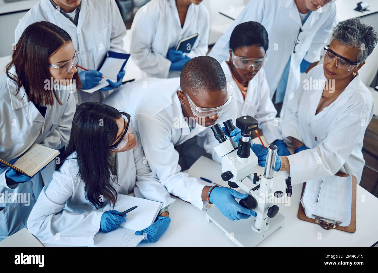 Étudiant, microscope et sciences en classe universitaire, en groupe et en apprentissage avec une femme chargée de cours, d'éducation ou d'études. Étudiants, scientifiques et médicaux Banque D'Images