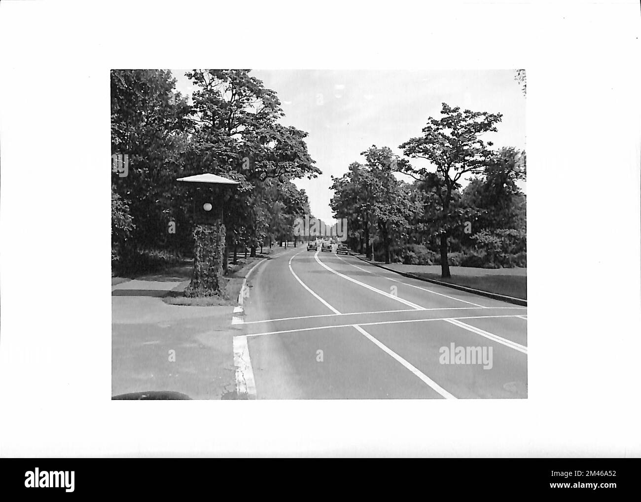 Pas de parking à quatre voies, boulevard Humboldt dans le parc Humboldt. Légende originale : quatre voies sans stationnement, Humboldt Blvd. Dans le parc Humboldt. 36 pieds face à face du trottoir. Photos de T. W. Kines. 26 juillet 1948. État: Illinois. Lieu: Chicago. Banque D'Images