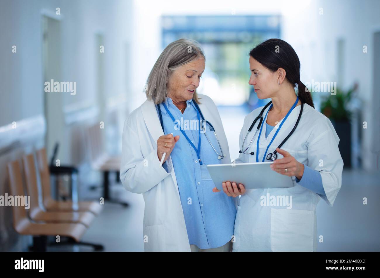 Un médecin plus âgé donne des conseils à sa jeune collègue, discutant dans le couloir de l'hôpital. Concept de soins de santé. Banque D'Images