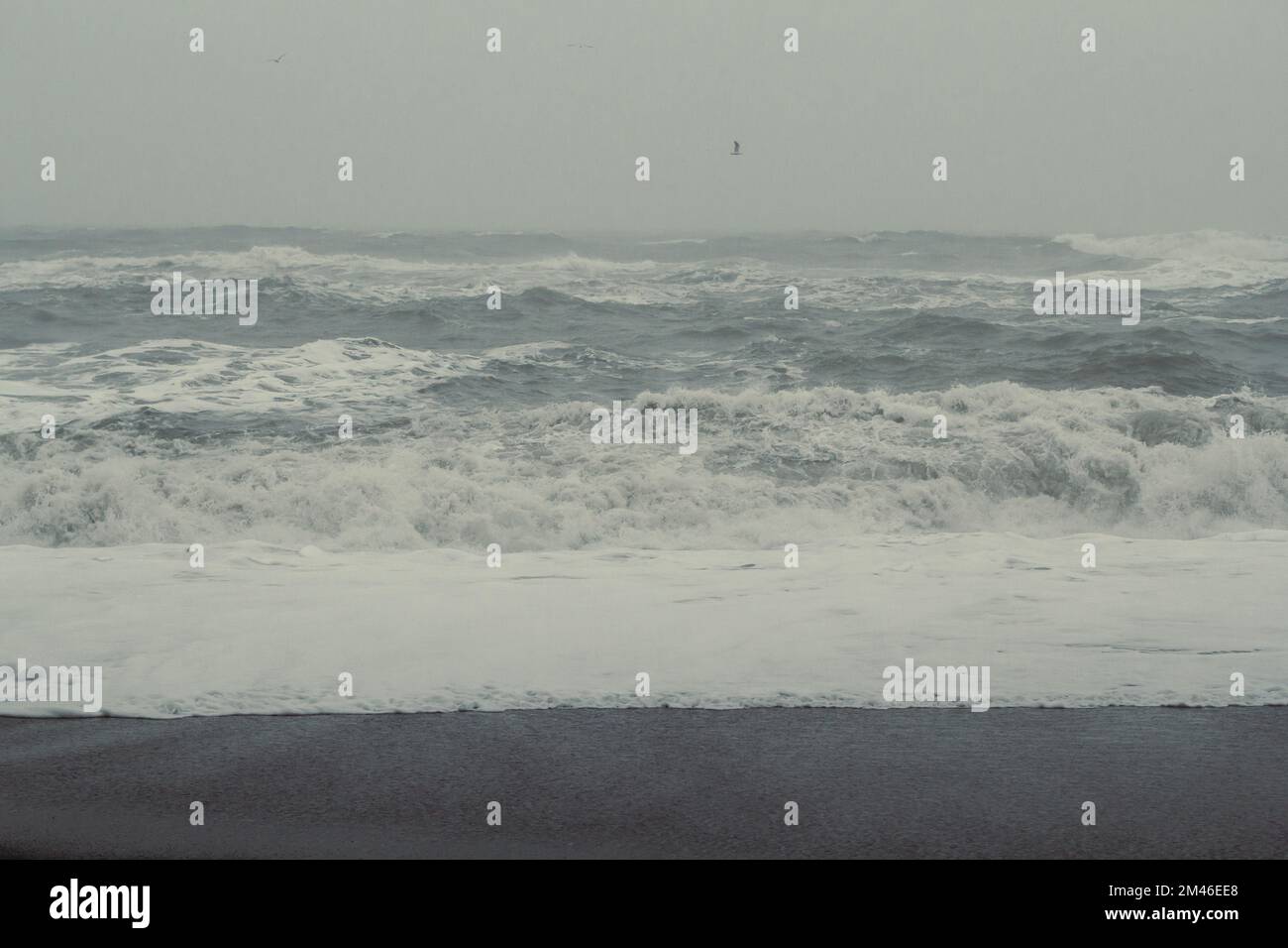 Vagues de mer mousseuse sur la photo de paysage de plage Banque D'Images