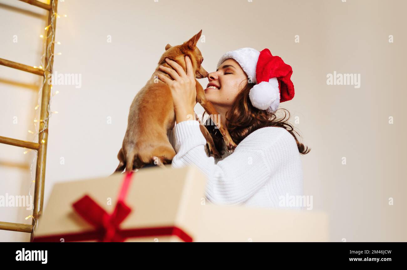 Une femme heureuse portant un chapeau de père Noël tenant un petit chien dans ses mains cadeau de Noël. Banque D'Images