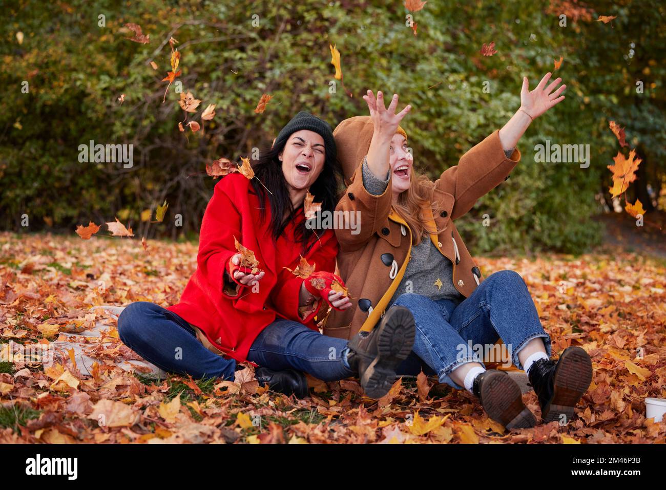 Amis jouant avec des feuilles d'automne dans le parc Banque D'Images