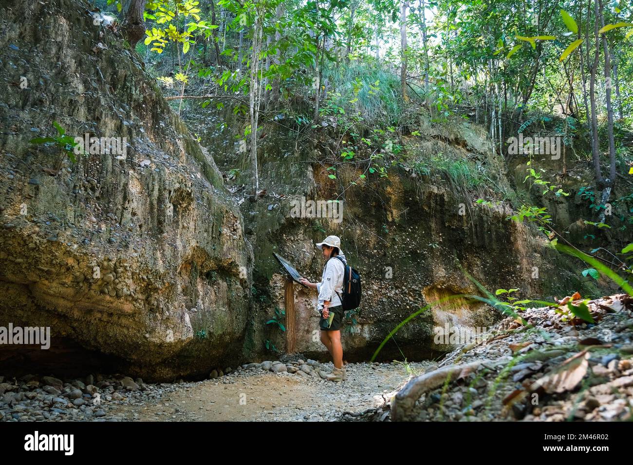 Femme géologue avec sac à dos explorant le sentier de la nature en forêt et analysant le rocher ou le gravier. Les chercheurs recueillent des échantillons de matériel biologique. Env Banque D'Images