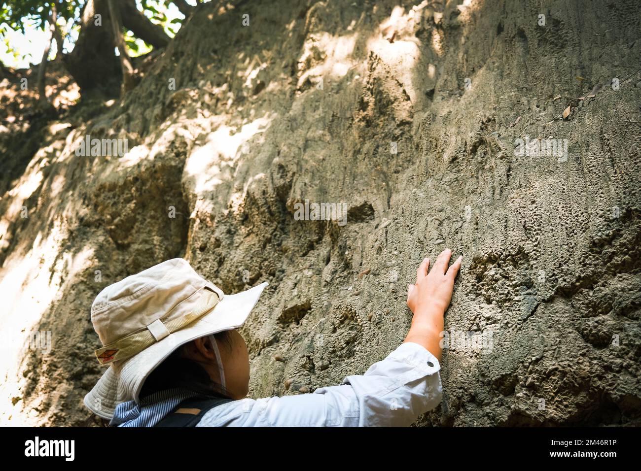 Femme géologue avec sac à dos explorant le sentier de la nature en forêt et analysant le rocher ou le gravier. Les chercheurs recueillent des échantillons de matériel biologique. Env Banque D'Images
