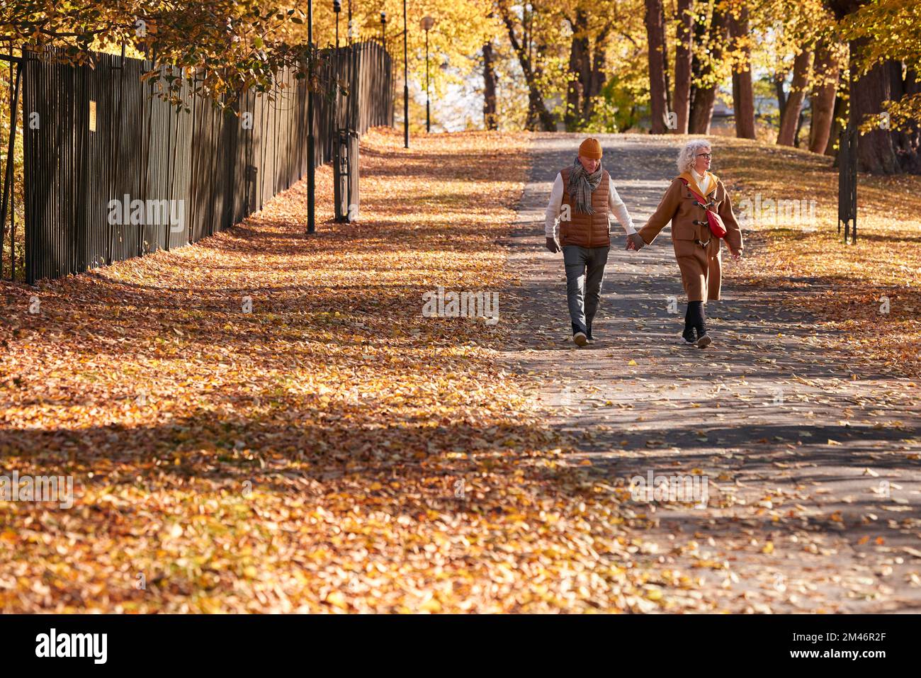 Couple senior marchant dans le parc d'automne Banque D'Images