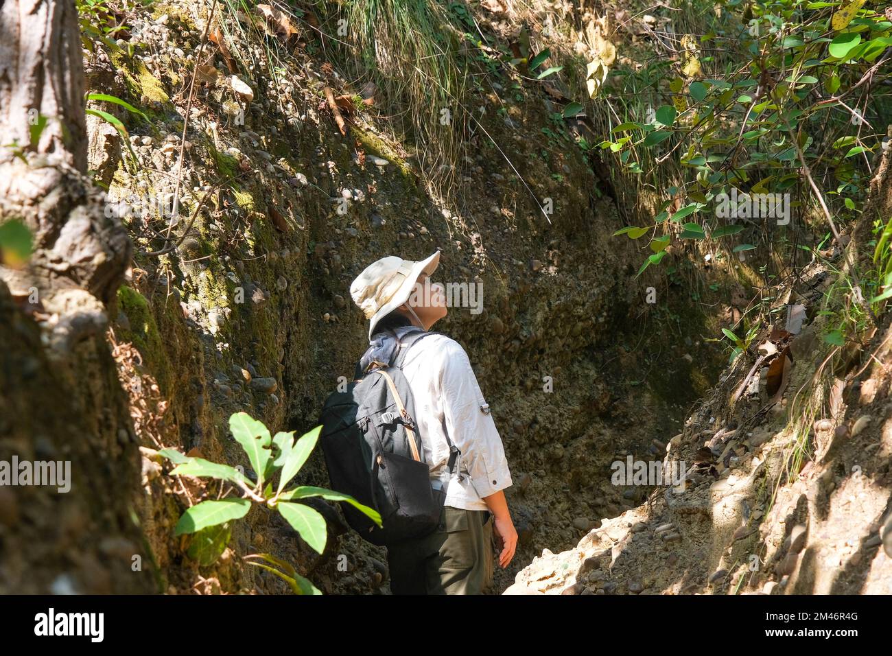 Femme géologue avec sac à dos explorant le sentier de la nature en forêt et analysant le rocher ou le gravier. Les chercheurs recueillent des échantillons de matériel biologique. Env Banque D'Images