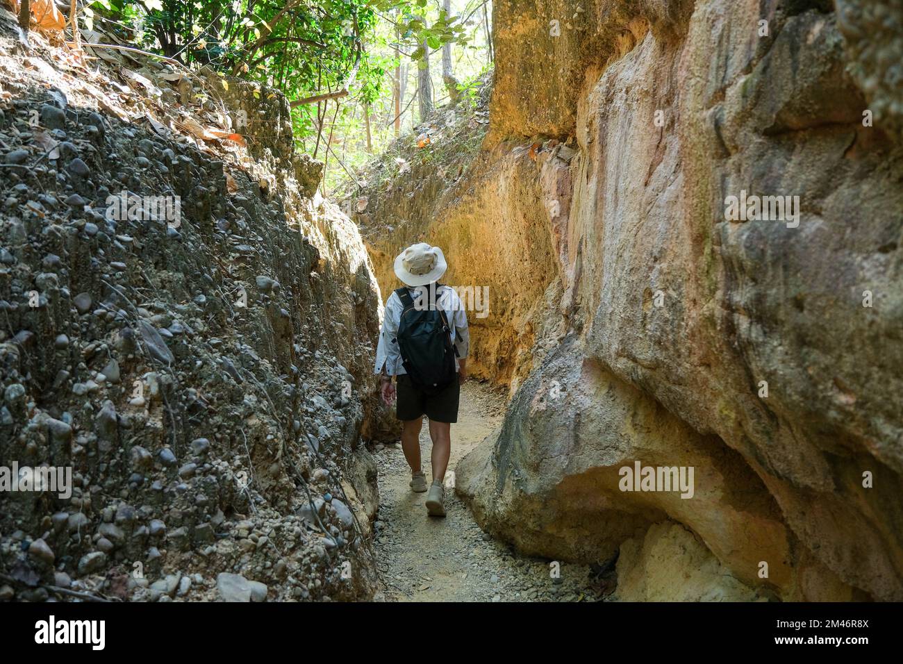 Femme géologue avec sac à dos explorant le sentier de la nature en forêt et analysant le rocher ou le gravier. Les chercheurs recueillent des échantillons de matériel biologique. Env Banque D'Images