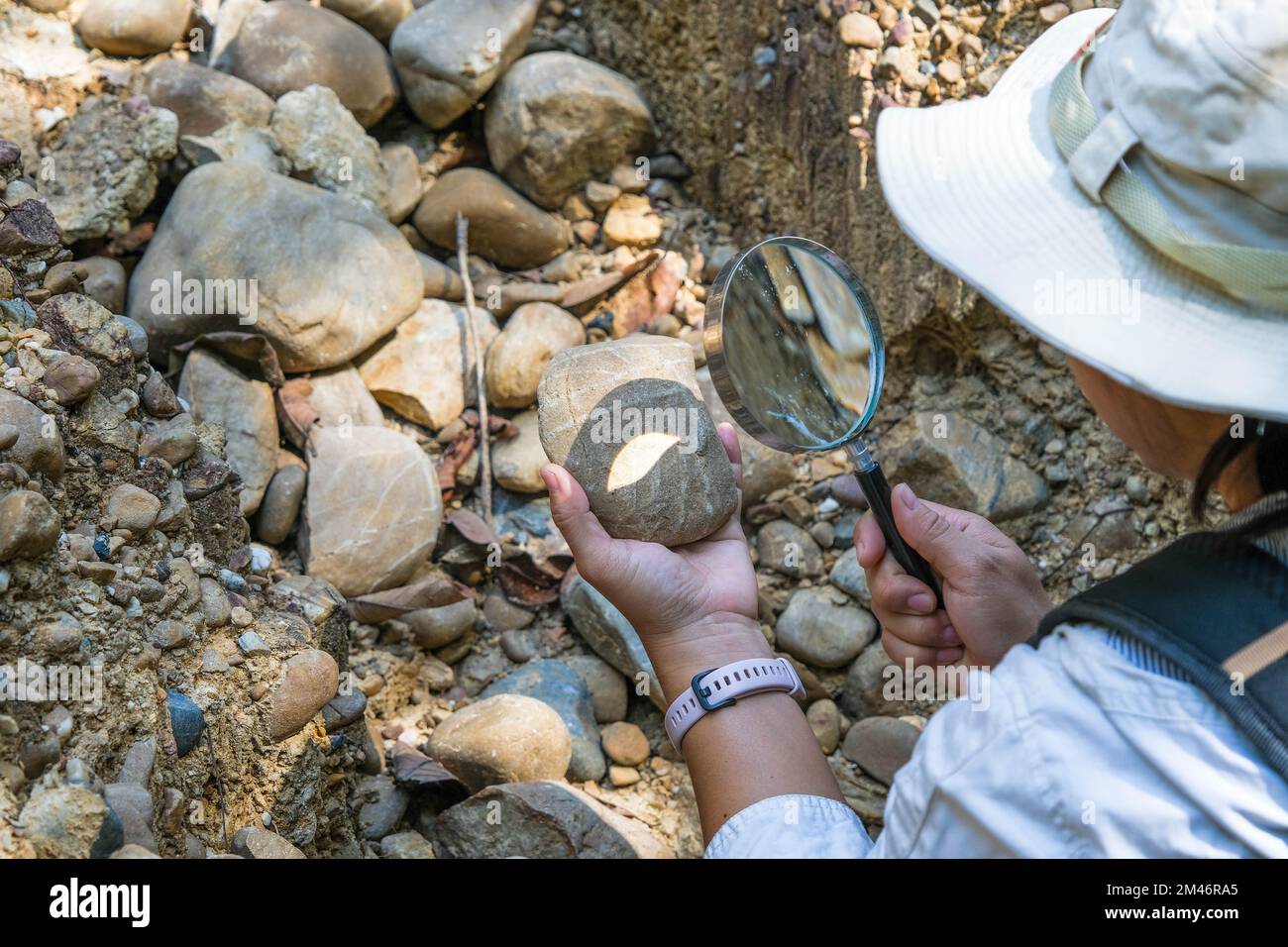 Une géologue féminine utilisant une loupe examine la nature, analysant des roches ou des cailloux. Les chercheurs recueillent des échantillons de matériel biologique. Environnement Banque D'Images