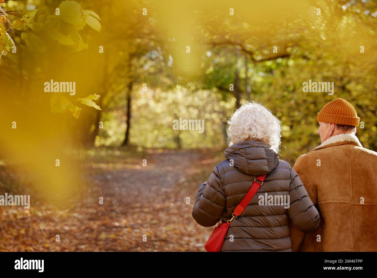 Couple senior marchant dans le parc d'automne Banque D'Images