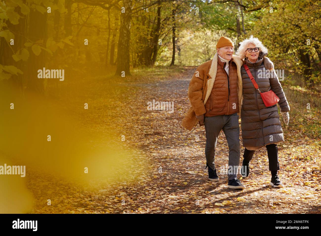 Couple senior marchant dans le parc d'automne Banque D'Images