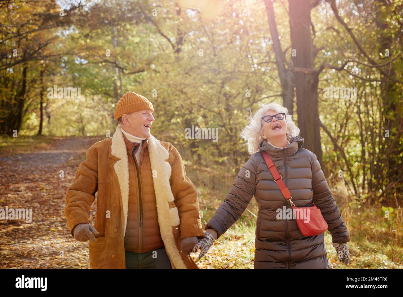 Heureux couple senior dans le parc d'automne Banque D'Images